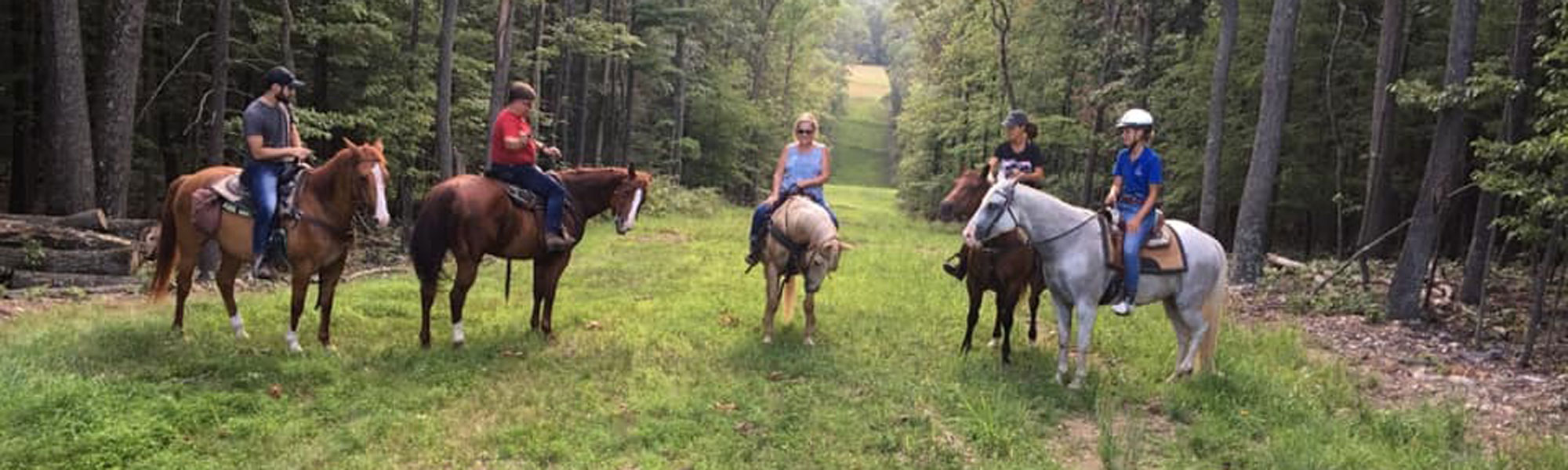 Cover 0469968586 1527860141204587 8278092159081455673 N